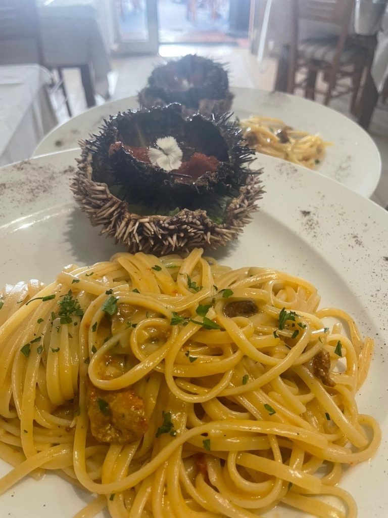 3788863b-6234-4065-b82e-c9132a6c8d93